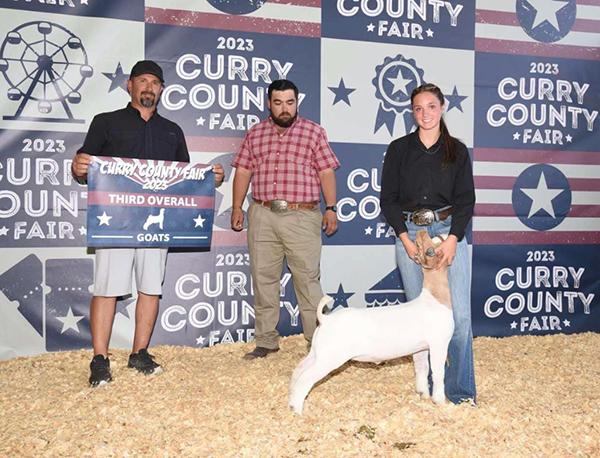 Third Overall Market Goat 2023 Curry County Fair Third Overall Market Goat<br />
2023 Curry County Fair