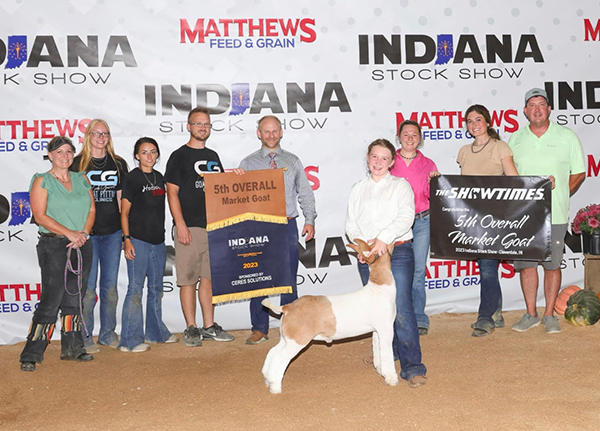 5th Overall Wether 2023 Indiana Stock Show 5th Overall Wether<br />
2023 Indiana Stock Show