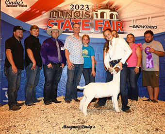 Reserve Lightweight Land Of Lincoln Jr. Show, Grand Land of Lincoln Open Show 2023 Illinois State Fair Reserve Lightweight Land Of Lincoln Jr. Show, Grand Land of Lincoln Open Show 2023 Illinois State Fair