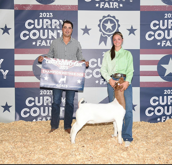 Champion Wether Dam 2023 Curry County Fair Champion Wether Dam<br />
2023 Curry County Fair<br />
