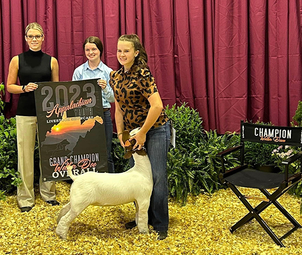 Multiple Time Champion Multiple Time Champion