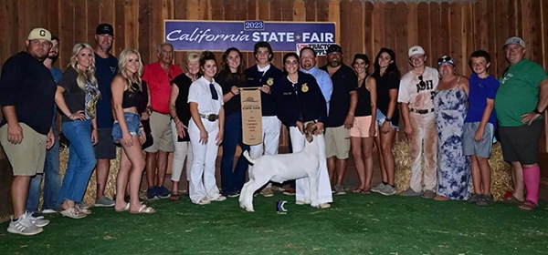 Reserve Grand 2023 California State Fair FFA Reserve Grand<br />
2023 California State Fair FFA