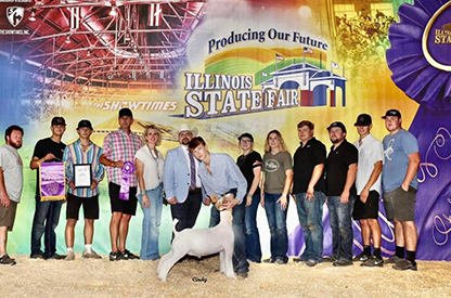 Grand Champion Jr. Market Wether, Champion Middleweight 2023 Illinois State Fair Grand Champion Jr. Market Wether, Champion Middleweight<br />
2023 Illinois State Fair