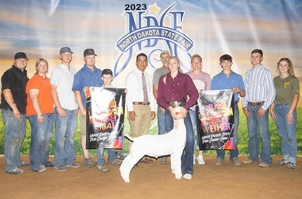 Grand Market Goat 2023 ND State Fair Grand Market Goat 2023 ND State Fair