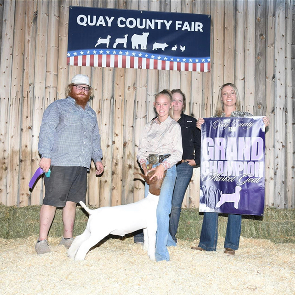 Grand Champion Market 2023 Quay County Fair Grand Champion Market<br />
2023 Quay County Fair
