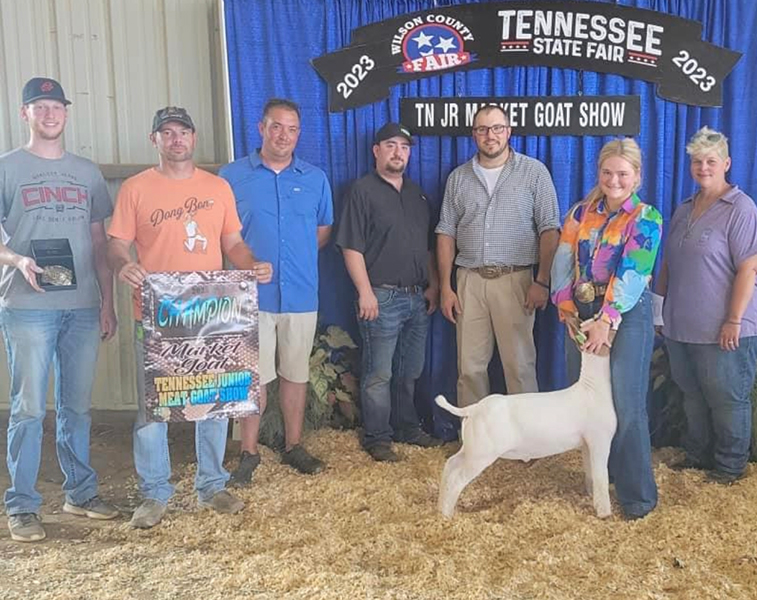 Grand Champion Wether 2023 Tennessee State Fair Grand Champion Wether<br />
2023 Tennessee State Fair