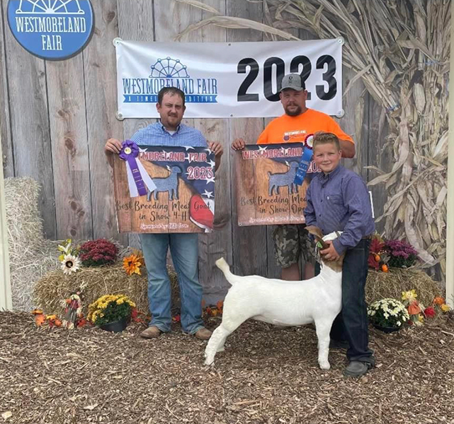 Grand Overall Doe 2023 Westmoreland Fair Grand Overall Doe<br />
2023 Westmoreland Fair