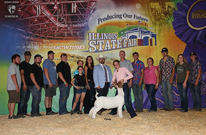 Reserve Champion Jr. Market Wether, Champion Heavyweight 2023 Illinois State Fair Reserve Champion Jr. Market Wether, Champion Heavyweight 2023 Illinois State Fair