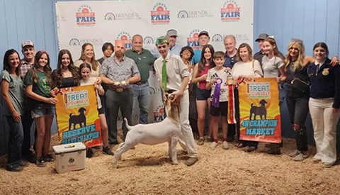 Reserve Grand Market Goat Kerns County Fair, CA Reserve Grand Market Goat<br />
Kerns County Fair, CA