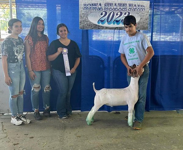 Reserve Lightweight Wether 2023 Iowa State Fair 4-H Show Reserve Lightweight Wether<br />
2023 Iowa State Fair 4-H Show
