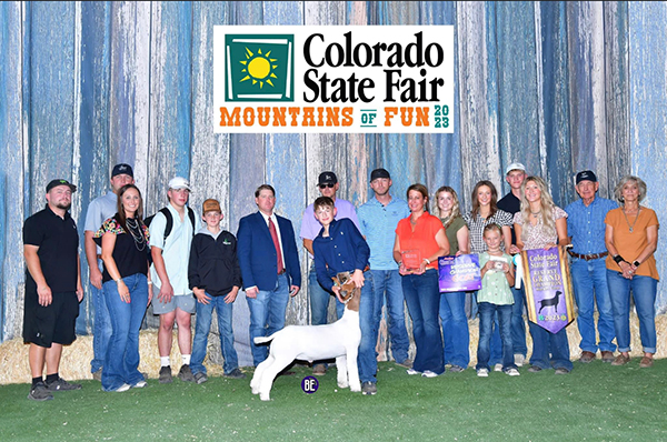 Reserve Grand Wether 2023 Colorado State Fair Reserve Grand Wether<br />
2023 Colorado State Fair