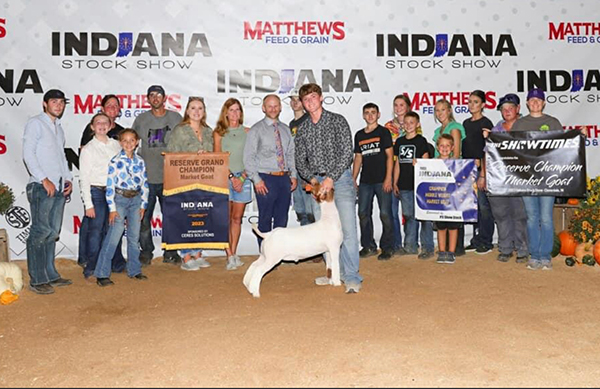 Reserve Champion Overall Wether Champion Middleweight 2023 Indiana Stock Show Reserve Champion Overall Wether<br />
Champion Middleweight<br />
2023 Indiana Stock Show