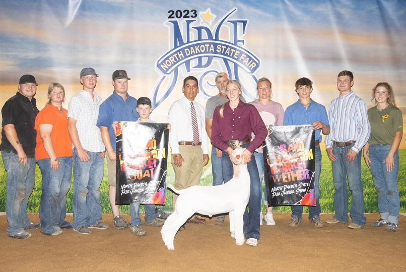 North-Dakota-State-fair Grand Champion Jr. Market Wether, Champion Middleweight<br />
2023 Illinois State Fair
