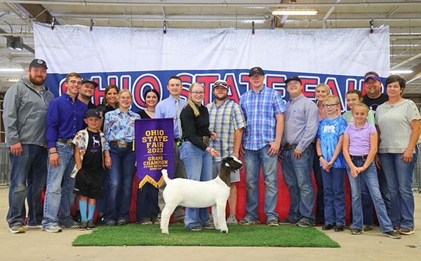 Champion Fitted Doe 2023 Ohio State Fair Wether Dam Show Champion Fitted Doe<br />
2023 Ohio State Fair Wether Dam Show