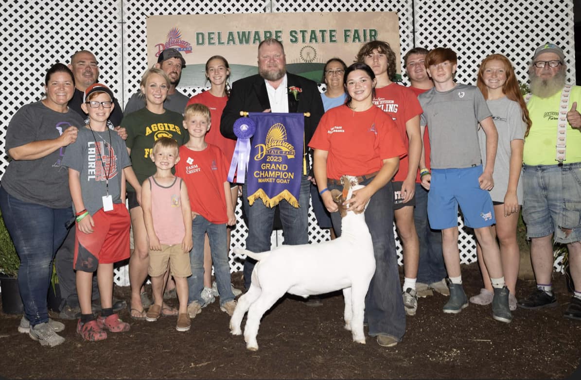 deleware-state-fair Grand Champion Jr. Market Wether, Champion Middleweight<br />
2023 Illinois State Fair