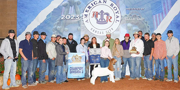 holden Grand Champion Jr. Market Wether, Champion Middleweight<br />
2023 Illinois State Fair