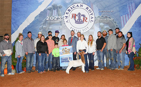 Grand Champion Jr. Market Wether, Champion Middleweight<br />
2023 Illinois State Fair