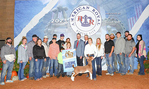 john Grand Champion Jr. Market Wether, Champion Middleweight<br />
2023 Illinois State Fair