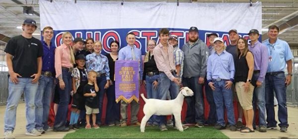 Reserve Champion Fitted Doe 2023 Ohio State Fair Wether Dam Show Reserve Champion Fitted Doe<br />
2023 Ohio State Fair Wether Dam Show
