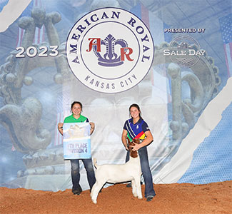 Grand Champion Jr. Market Wether, Champion Middleweight<br />
2023 Illinois State Fair