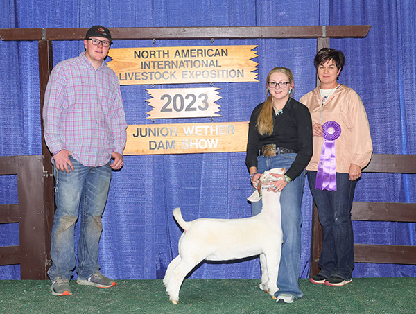 Division 1 Champion 2023 N.A.I.L.E. Division 1 Champion<br />
2023 N.A.I.L.E.