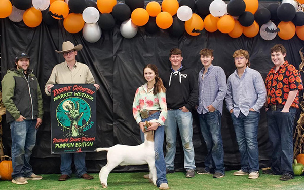 Reserve Champion Market Wether 2023 Pickaway County Palooza Reserve Champion Market Wether 2023 Pickaway County Palooza