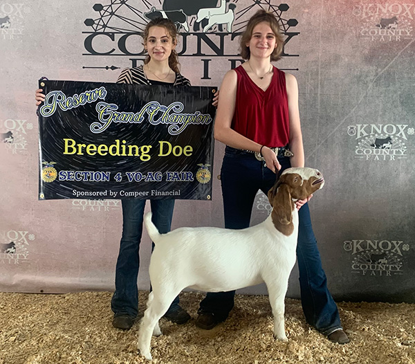 Reserve Breeding Doe 2023 Section 4 FFA Show Reserve Breeding Doe<br />
2023 Section 4 FFA Show