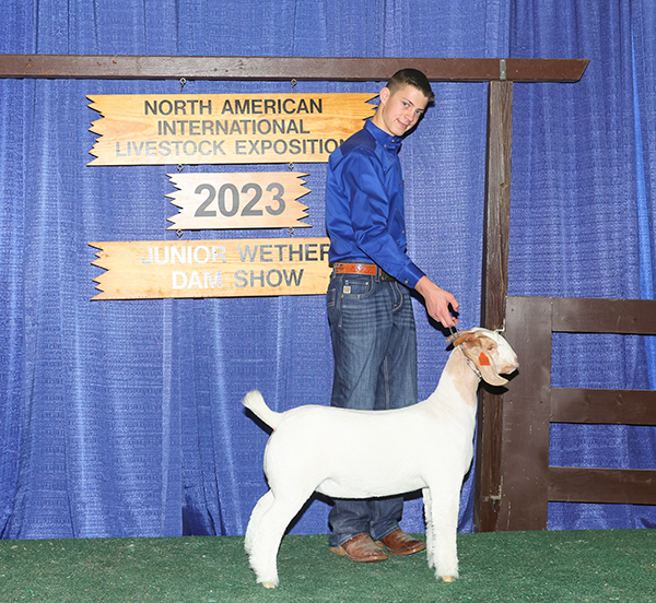 Reserve Division 3 Champion 2023 N.A.I.L.E. Reserve Division 3 Champion<br />
2023 N.A.I.L.E.