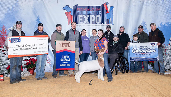 3rd Overall Market Goat 2023 PAYLE 3rd Overall Market Goat 2023 PAYLE