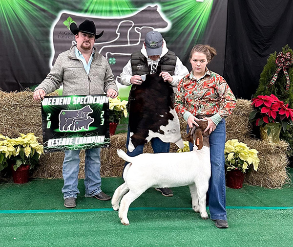 Reserve Champion Doe 2023 Weekend Spectacular Reserve Champion Doe<br />
2023 Weekend Spectacular