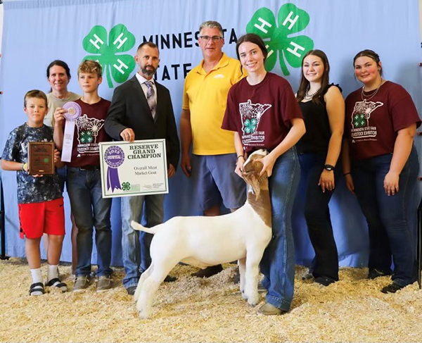 Reserve Champion Wether 2023 MN State Fair Reserve Champion Wether<br />
2023 MN State Fair